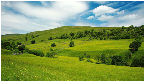 图片.png 图片.png